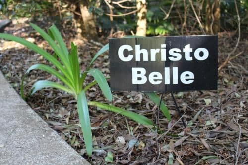 Christo Belle Cottage