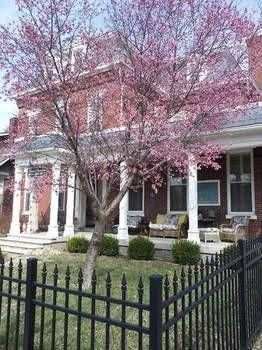 Market Street Inn Bed and Breakfast1