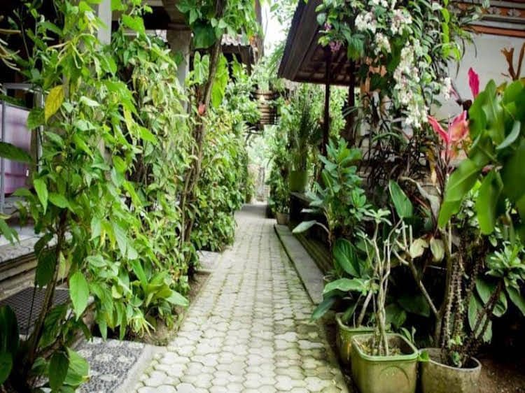 Pondok Bulan Mas Pondok Bulan Mas