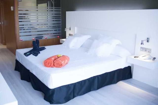 SUITE STANDARD
