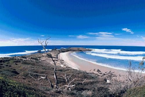 Yamba YHA Backpacker Beach Resort0