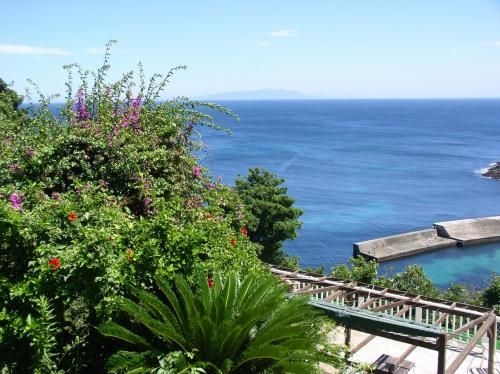 โรงแรมการ์เดน วิลลา ชิราฮามะ รีสอร์ท (Gardenvilla Shirahama Resort Hotel)3