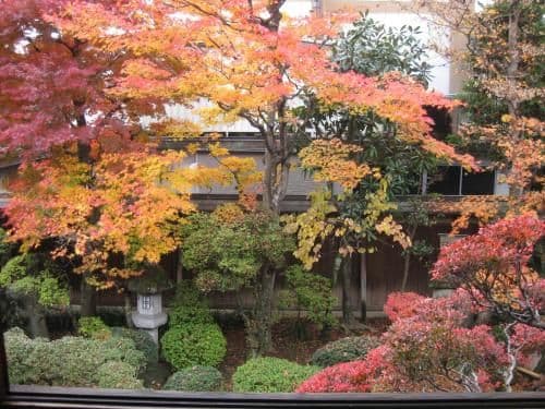 Japanese-Style Superior Twin Room with Shared Bathroom and Garden View