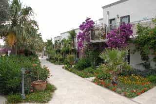 MiraLuna