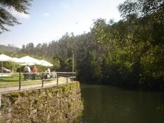 Naturaleza Pesqueria del Tambre2