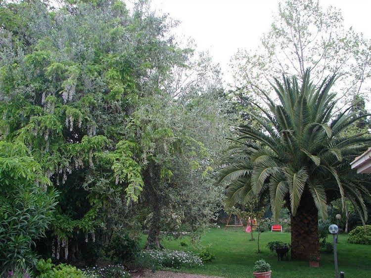 B&B Parco Delle Valli0