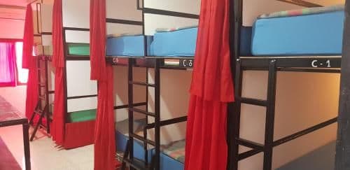 10-Bed Mixed Dormitory Room
