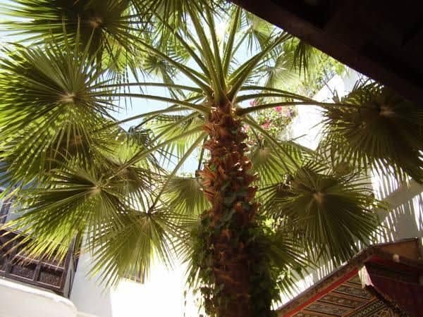 Riad Magie d'Orient Riad Magie d'Orient