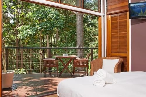 King Room (Adults Only)