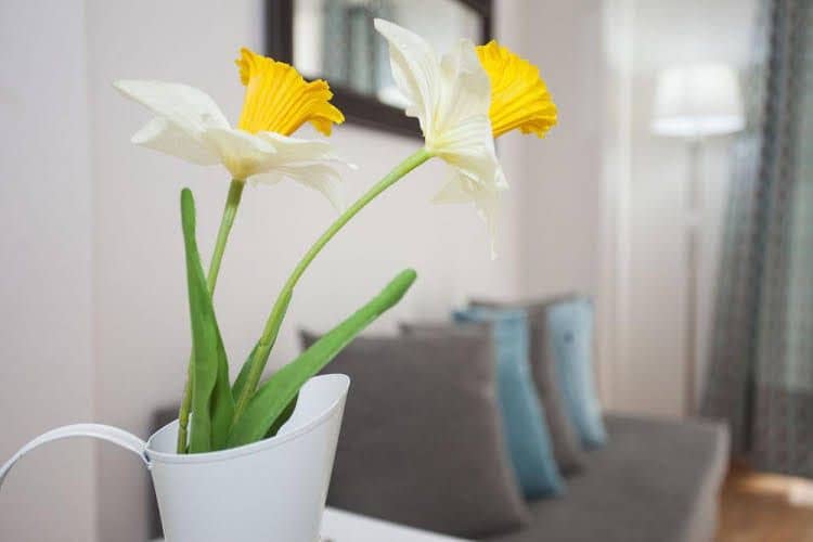 Apartamentos Fuencarral Luxury Apartamentos Fuencarral Luxury