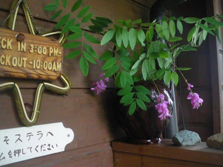 Pension Stella Pension Stella
