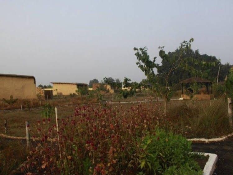 Kanha Village Eco Resort4