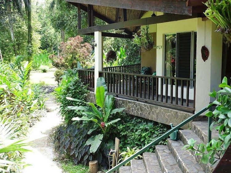 Heliconia Island1