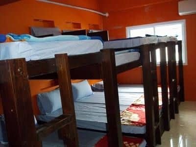 Bed n Bar Hostel Bed n Bar Hostel