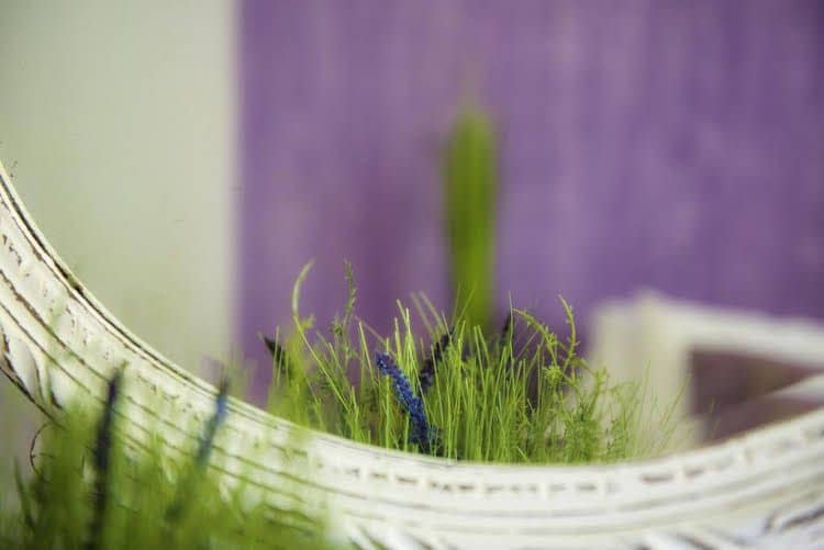 Marica Bed & Breakfast Marica Bed & Breakfast