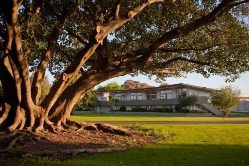 Kennedy Park Resort Napier3