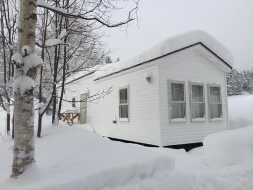 Mobile Home