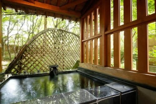 Suite Japanese-Style Room with Open Air Bath