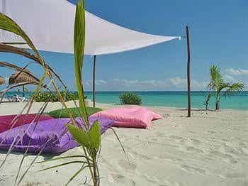 Almaplena Eco Beach Resort