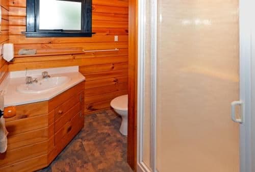 Budget One-Bedroom Apartment
