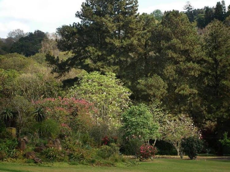 Makaranga Garden Lodge1