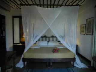 Indian Ocean Beach Club