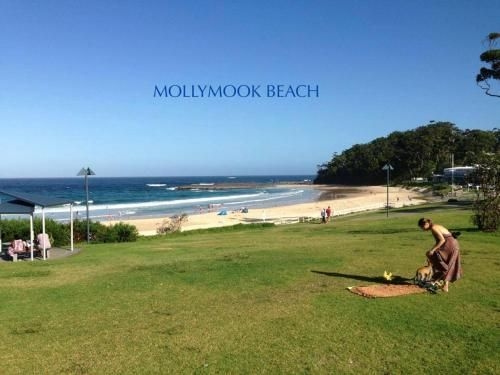 Beach House Mollymook1