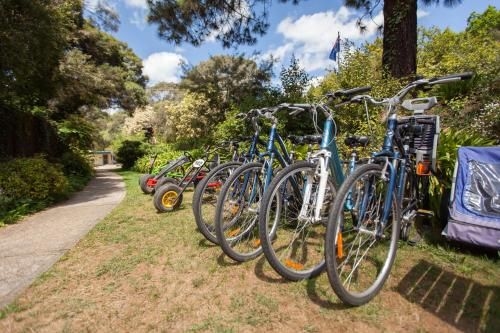 Beechworth Holiday Park1