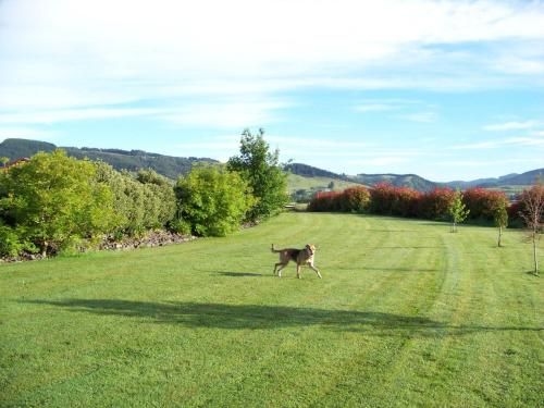 Longbourne Lodge Motel Mosgiel3