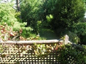 Leura Lady1