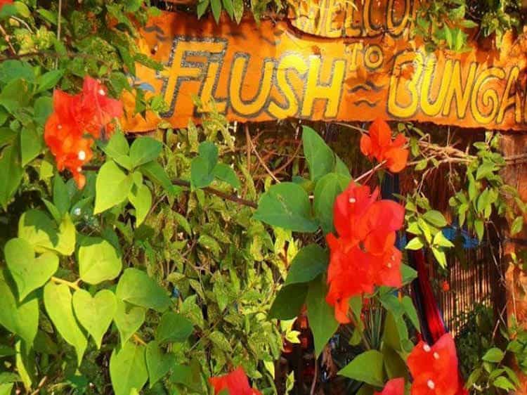 Flush Bungalows Flush Bungalows