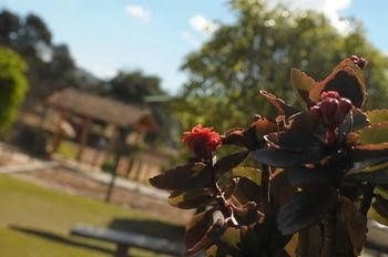 Hotel Fazenda Pocos de Caldas4
