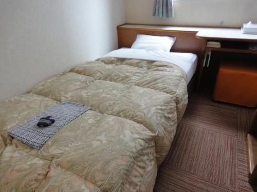 โรงแรมมัตสึเอะ พลาซา (Matsue Plaza Hotel)1