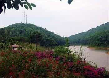 Phoenix Hotel Wuyi