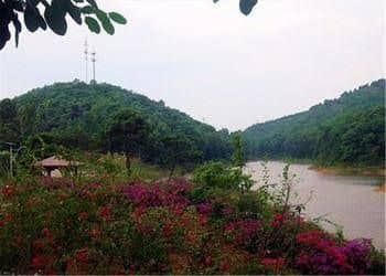 Phoenix Hotel Wuyi Phoenix Hotel Wuyi
