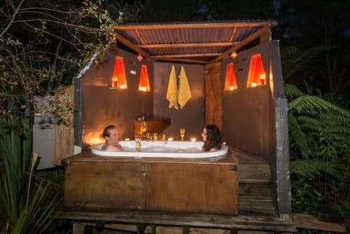 Deluxe Suite with Bush View