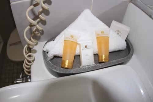 Queen Room - Pet-Friendly