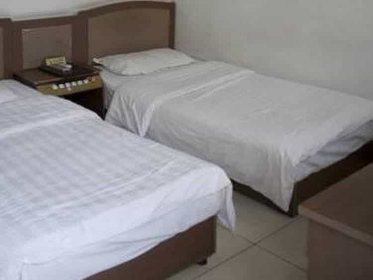 Three Legged Frog Hostel Three Legged Frog Hostel