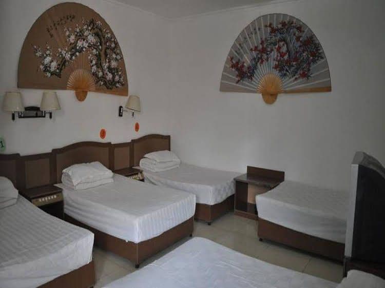 Three Legged Frog Hostel Three Legged Frog Hostel