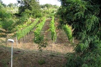La Locanda di Campagna1