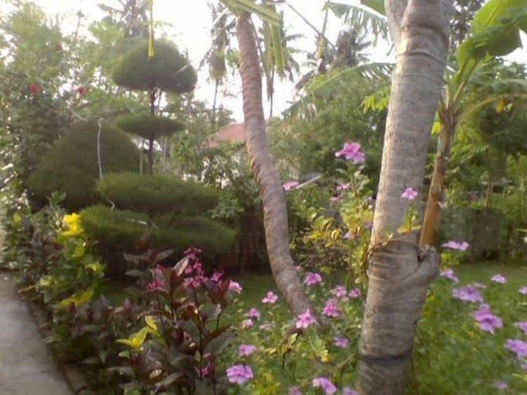 Tropicana Bungalows Tropicana Bungalows