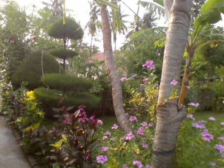 Tropicana Bungalows Tropicana Bungalows