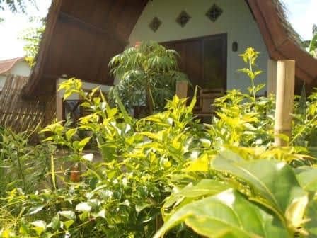 My Gili Cottages My Gili Cottages