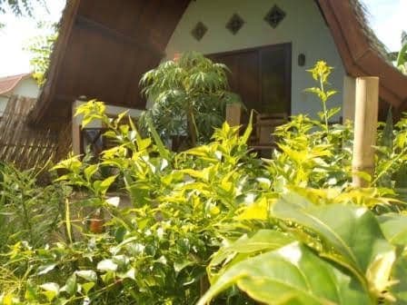 My Gili Cottages My Gili Cottages