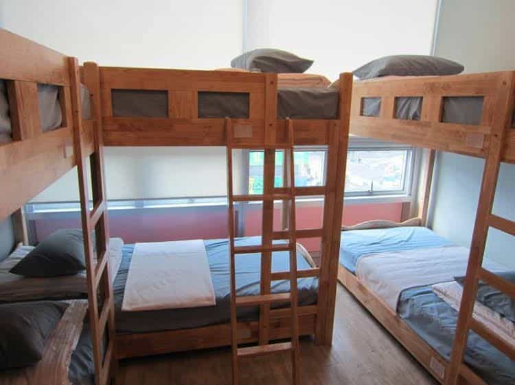 Hostel The New Day Hostel The New Day