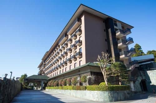 The Hedistar Hotel Narita The Hedistar Hotel Narita