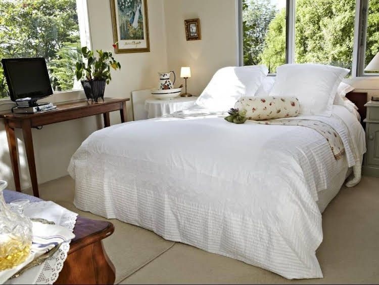 Bed of Roses4