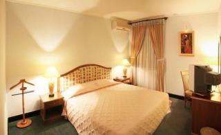Palace Hotel3