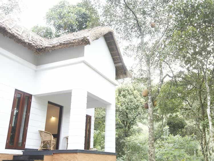 Niraamaya Retreats Cardamom Club