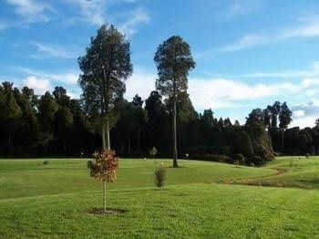 Lake Brunner Accommodation and Golf Course3